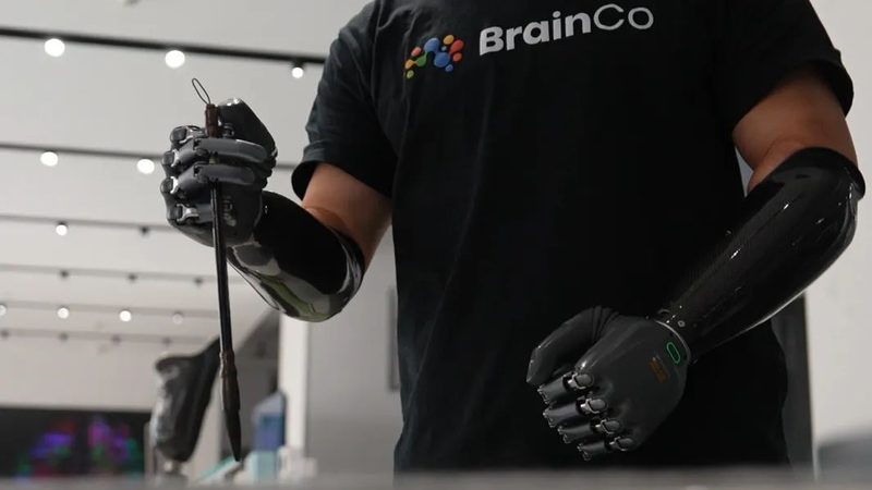 数据可视化：让复杂数据一目了然的魔法