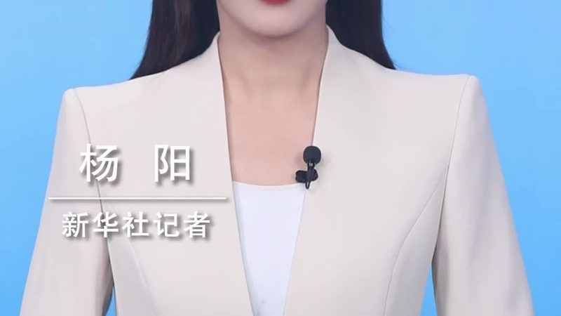 数据治理平台元数据管理：功能对比与选型策略